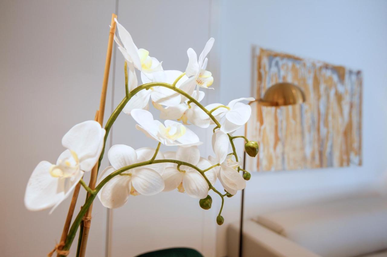 Tirso Suite Madrid Exterior foto
